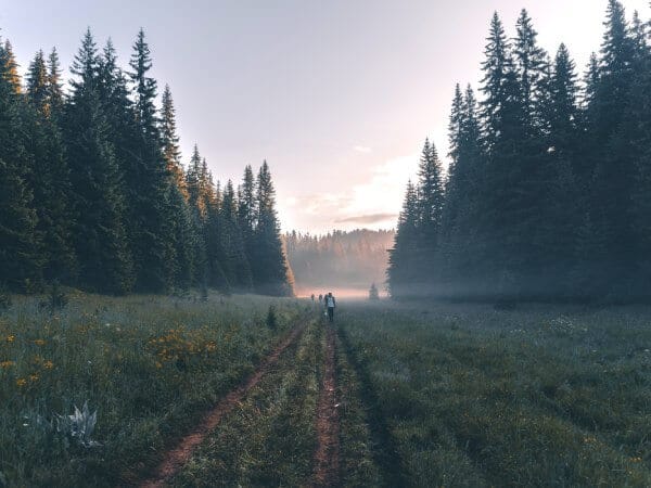 Buy Land in Bulgaria 11 A dirt path in a foggy Bulgarian forest.