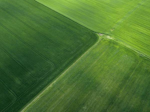 купувам парцел 11 Красив парцел земя перфектен за земеделие в България