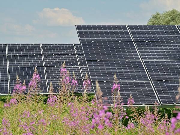 Соларни панели на земеделска земя