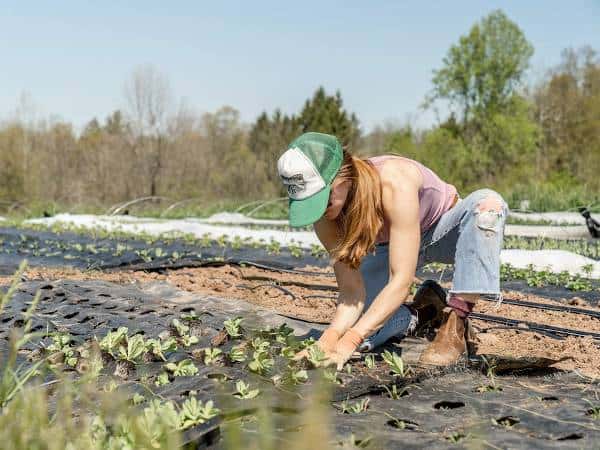купувам парцел 9 Земеделец на нов парцел работи в поле близо да къщата си