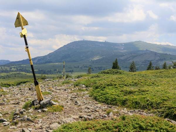 Много имоти за продажба се намират близо до пътеки на Витоша като тази