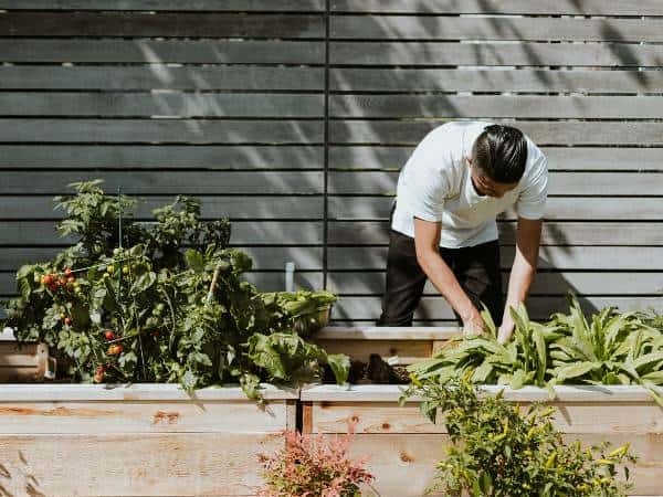 Компания за управление помага с градина в нова сграда