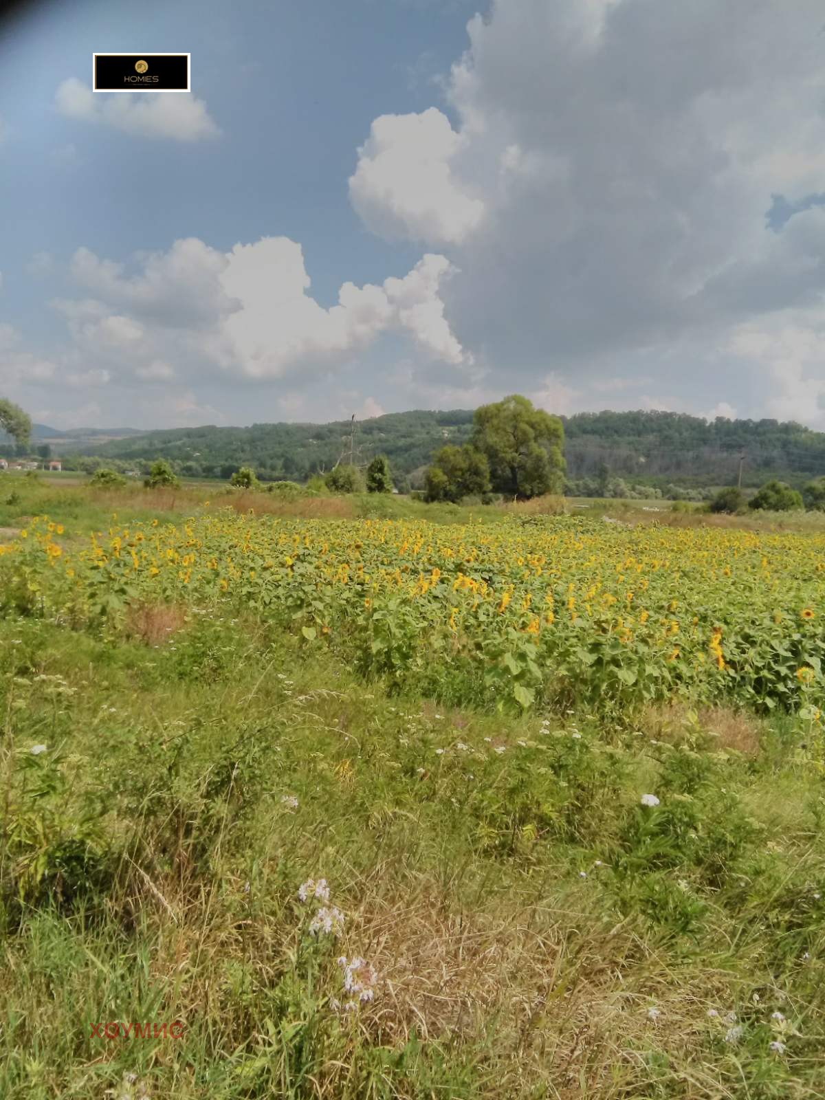 Land plot in Ковачевци, Pernik - Image 11