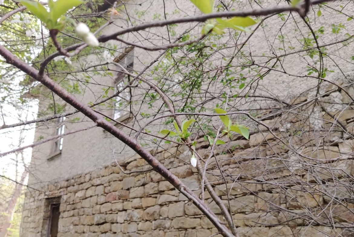 House in Долец, Targovishte - Image 7