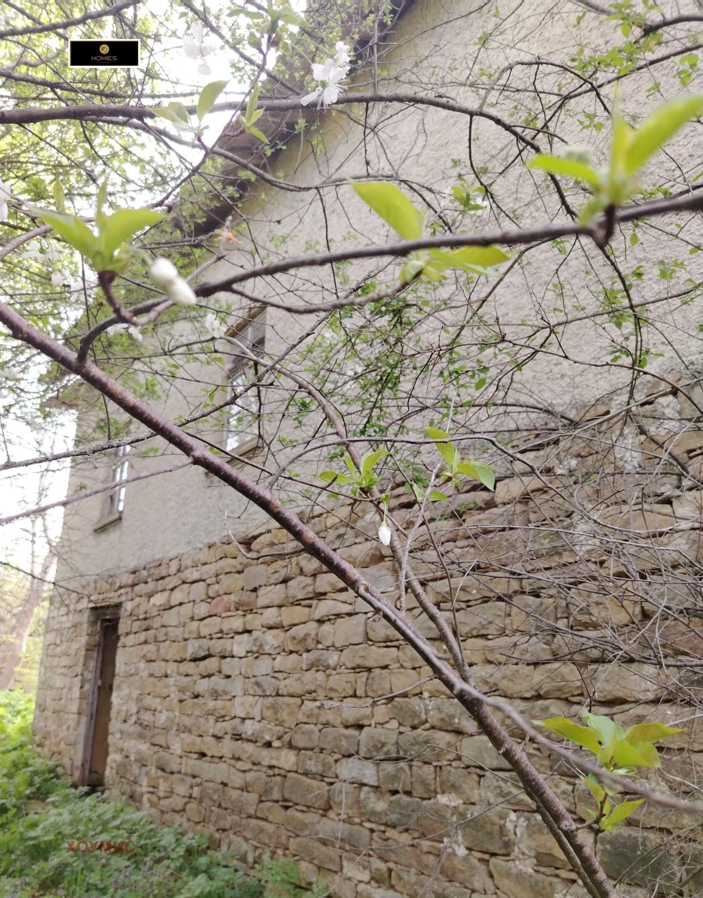 House in Долец, Targovishte - Image 21