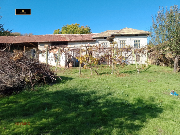 Traditional house with tiled roof and vineyard arbor