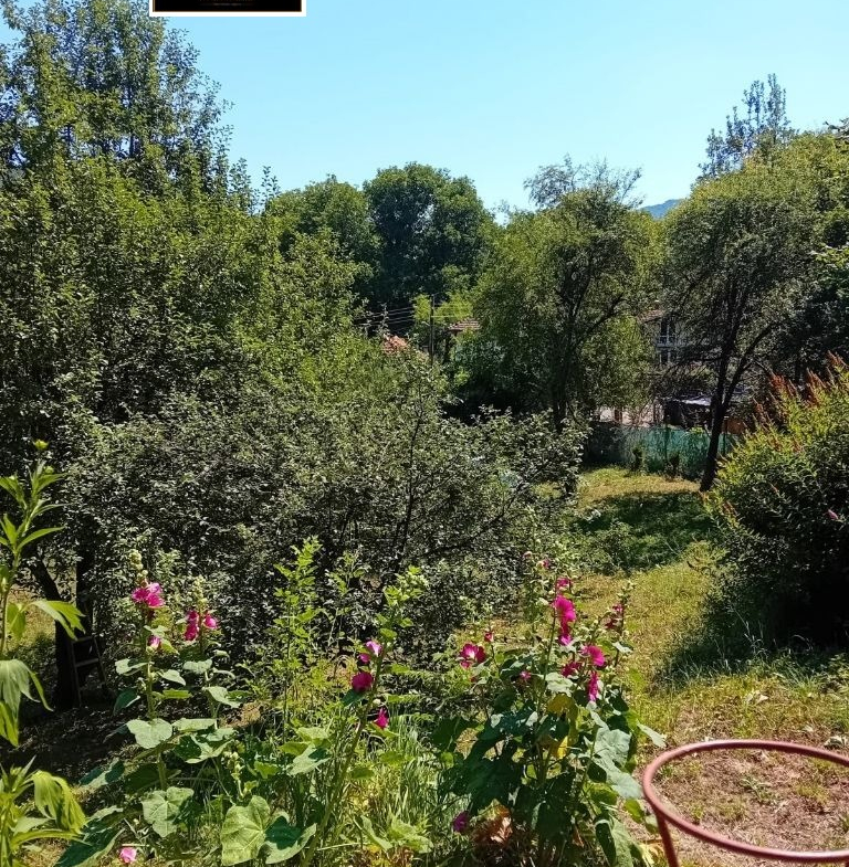 House in Велчево, Lovech - Image 17