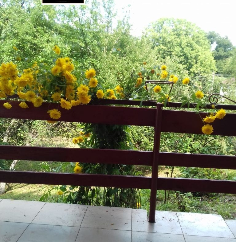 Къща 71 кв.м за продажба във Велчево | Двор 1500 кв.м