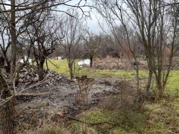 Rural land with bare trees and green grass field
