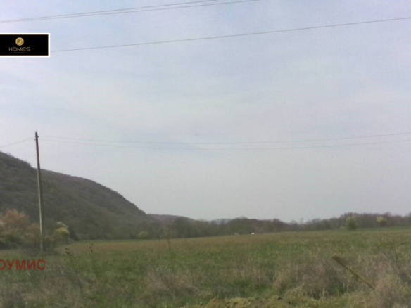 Large agricultural land plot with rolling green fields