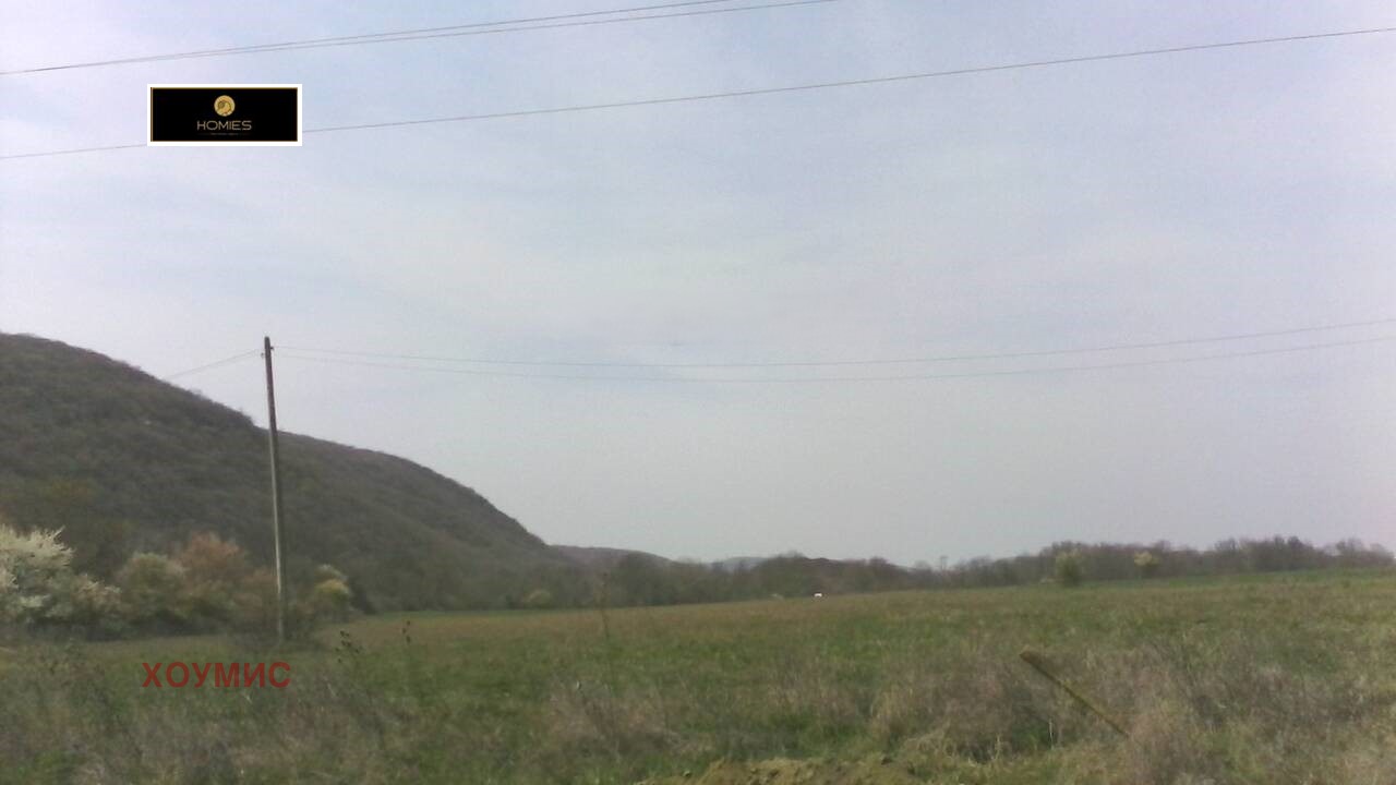 Large agricultural land plot with rolling green fields