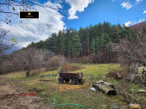 Forest edge land plot with mountain views