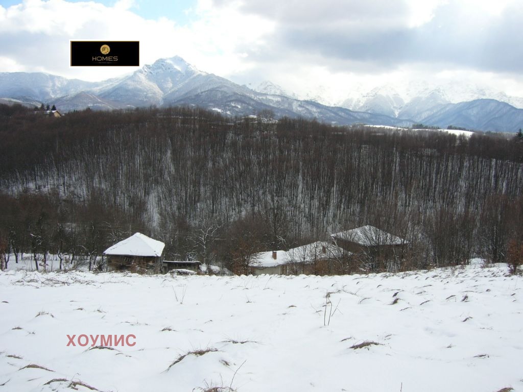 Mountain landscape with snow-capped peaks in distance