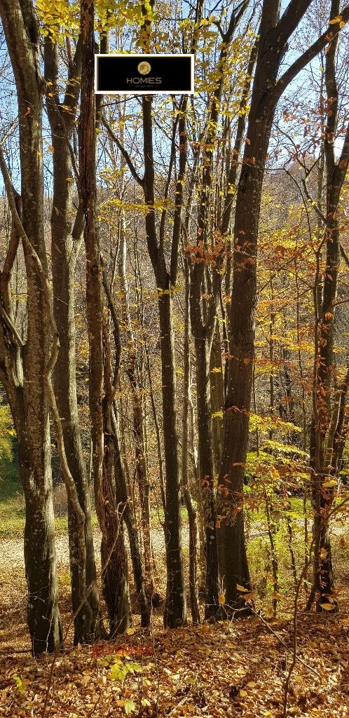 Land plot in Априлци, Lovech - Image 31