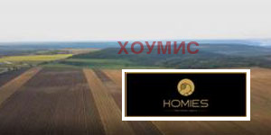 Land plot in Климентово, Varna - Image 4