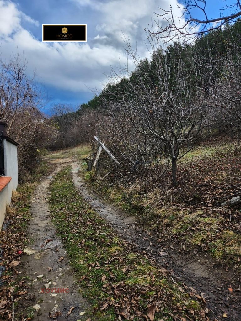 Парцел in Сапарева баня, Кюстендил - Image 8