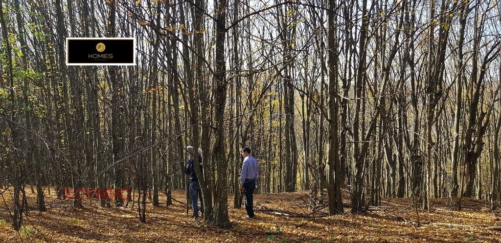 Парцел in Априлци, Ловеч - Image 15