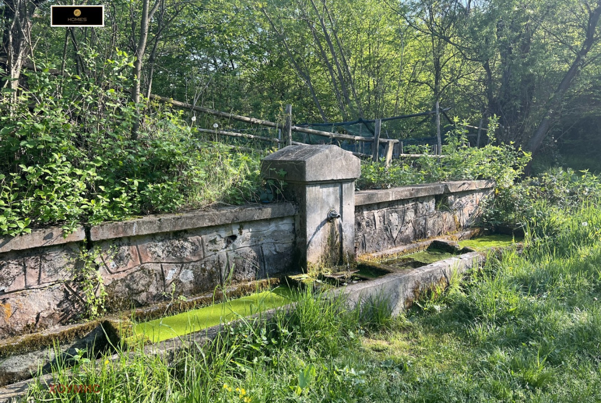 Древен каменен резервоар за вода в лесната площ