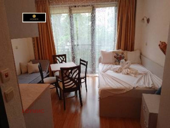 Studio bedroom and living area combined