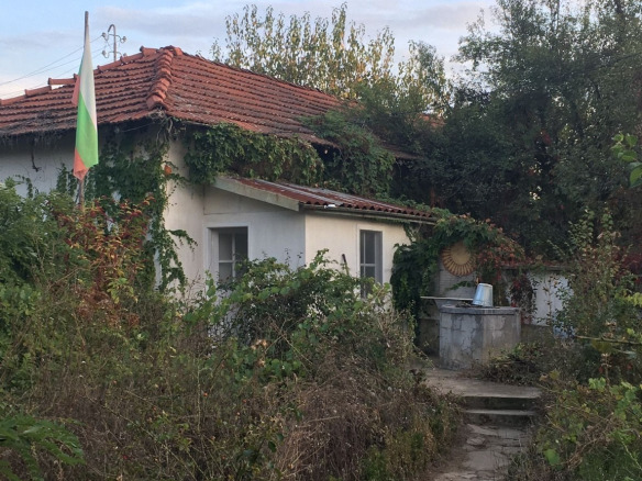 Overgrown house with red tile roof needs renovation
