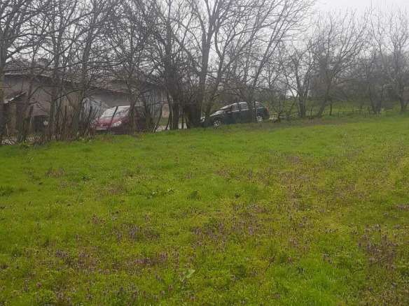 Large land plot with green grass and bare trees