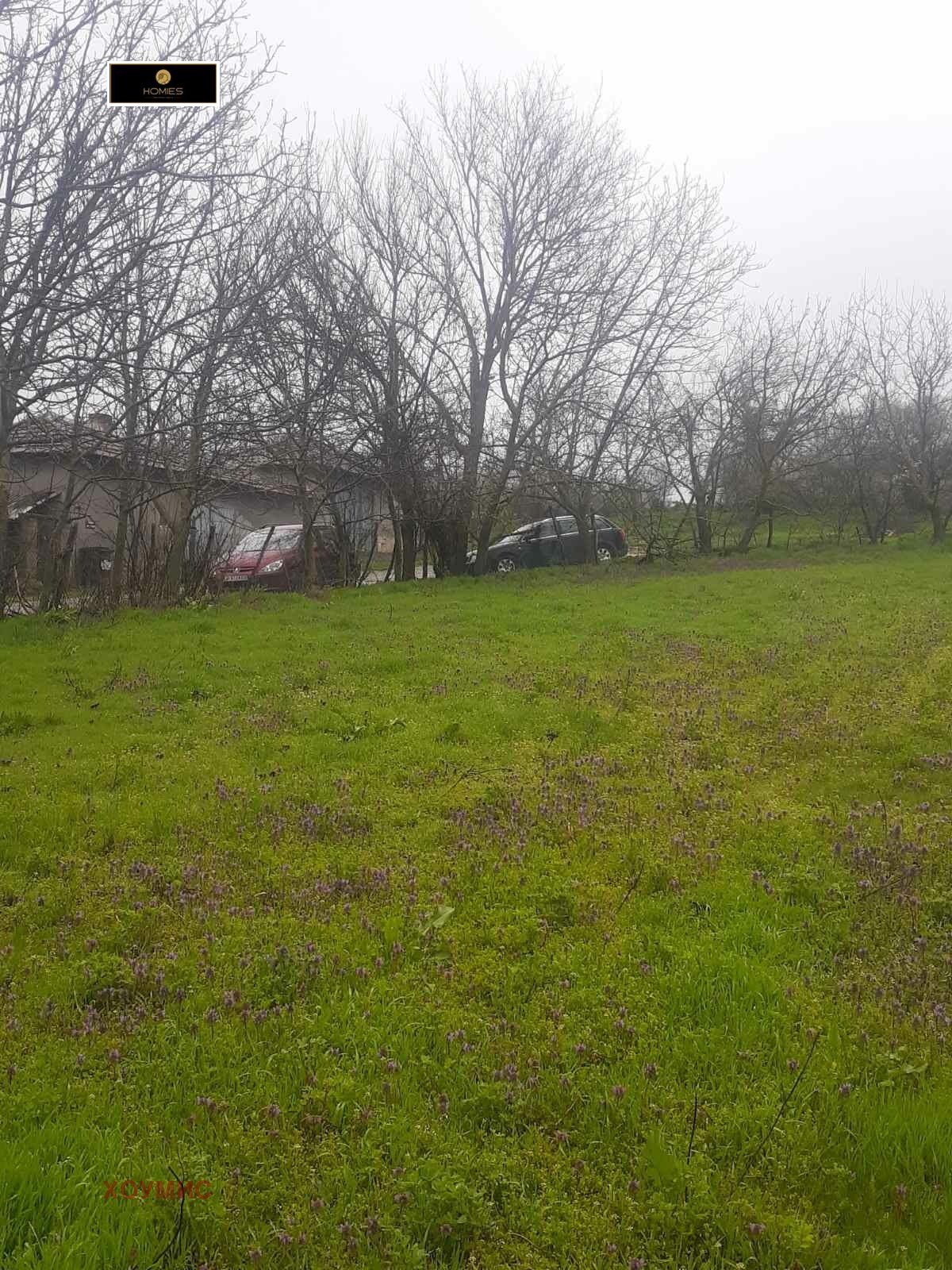 Large land plot with green grass and bare trees