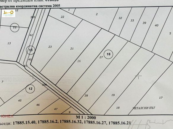 Cadastral map 3934 sqm land plot Grigorevo