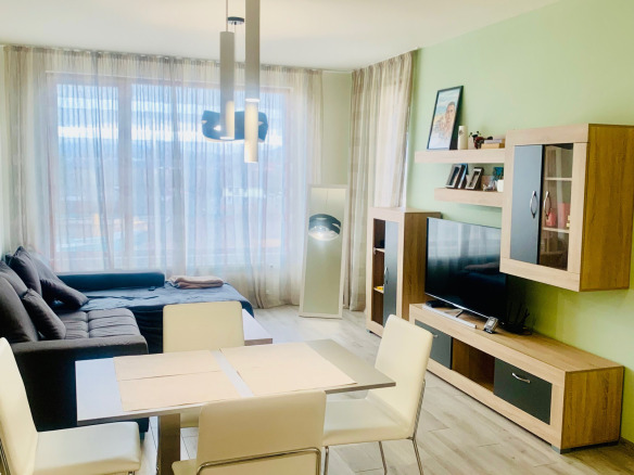 Modern living room with sofa and television
